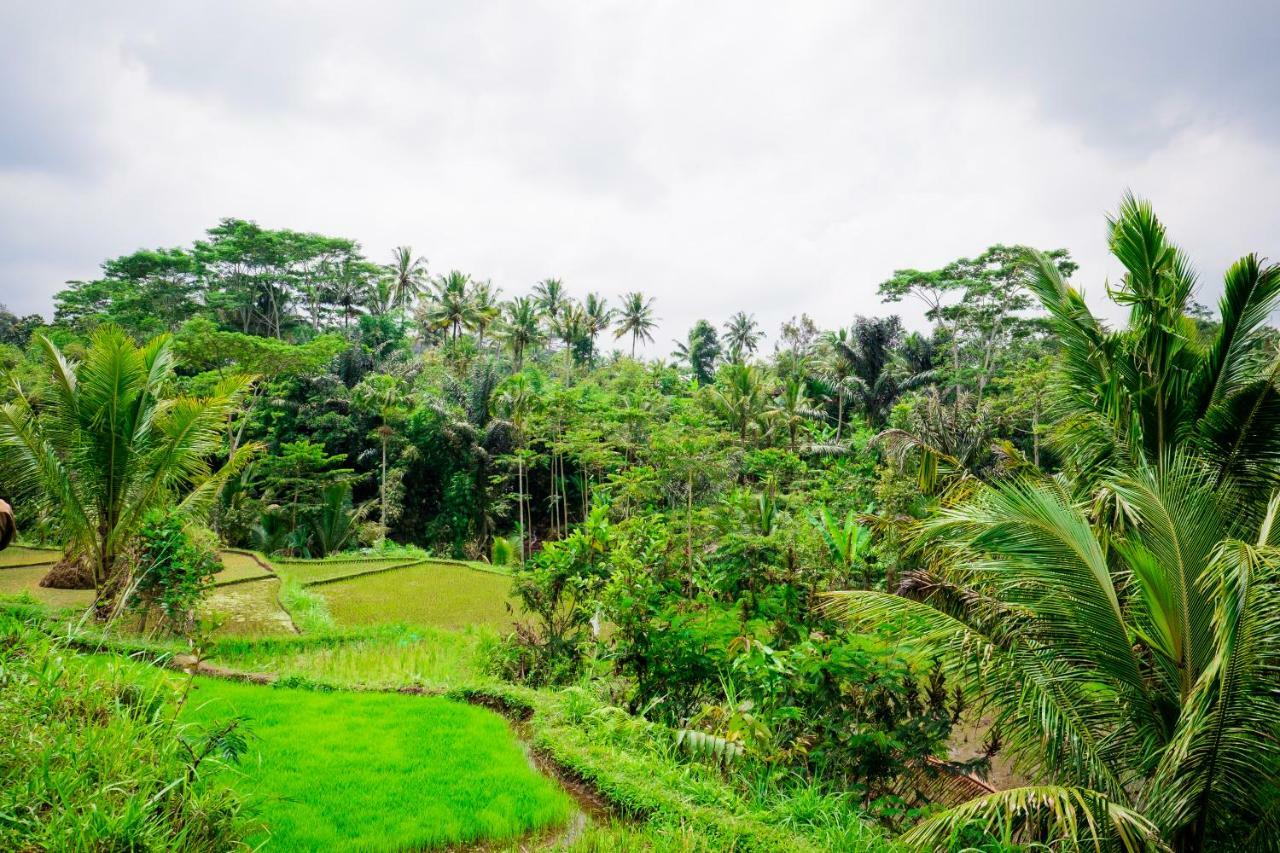 Vanilla Cottage Tetebatu Exterior photo