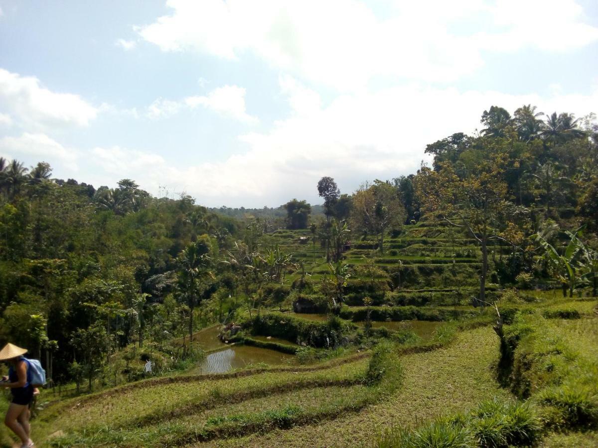 Vanilla Cottage Tetebatu Exterior photo